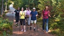 Kostnordic walking hruboskalsko